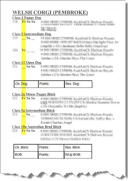Multi Show Catalogue