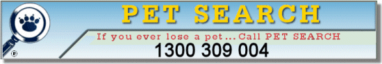 Pet Search