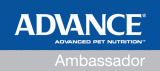 Advance Ambassador