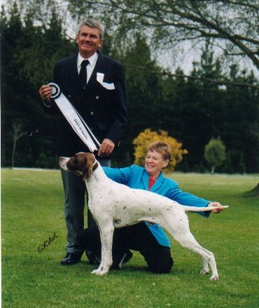Breed Feature Photo - Unauthorised use prohibited!