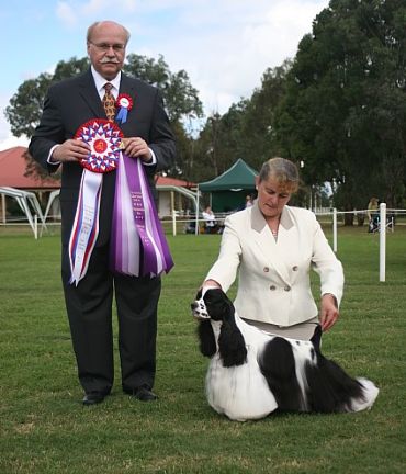 Breed Feature Photo - Unauthorised use prohibited!
