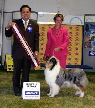 Breed Feature Photo - Unauthorised use prohibited!