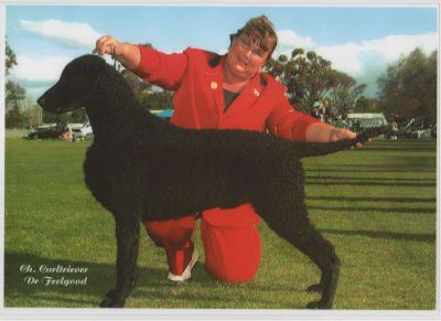 Breed Feature Photo - Unauthorised use prohibited!