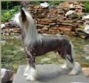 Click to enlarge
