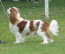 View Profile