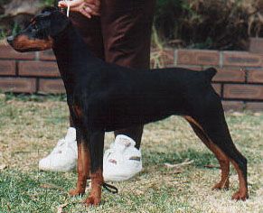Breed Feature Photo - Unauthorised use prohibited!
