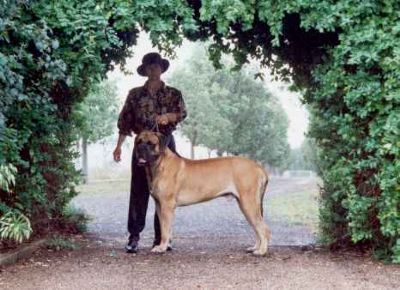 Breed Feature Photo - Unauthorised use prohibited!