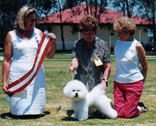 Breed Feature Photo - Unauthorised use prohibited!
