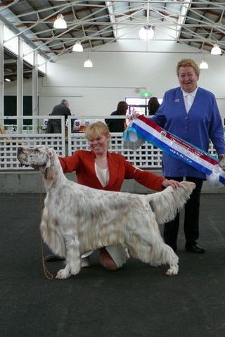 Breed Feature Photo - Unauthorised use prohibited!