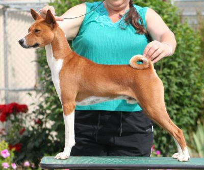 Breed Feature Photo - Unauthorised use prohibited!