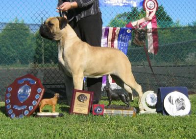 Breed Feature Photo - Unauthorised use prohibited!