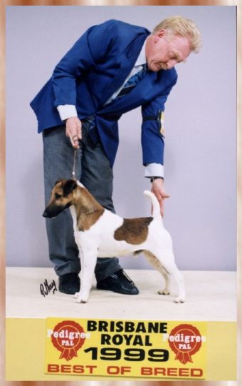 Breed Feature Photo - Unauthorised use prohibited!
