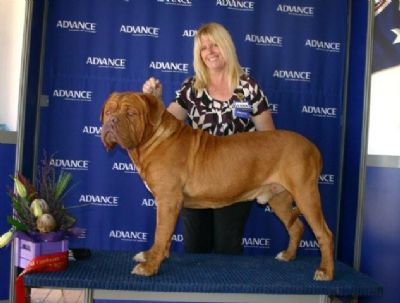 Breed Feature Photo - Unauthorised use prohibited!