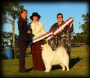 Click to see more details for this dog