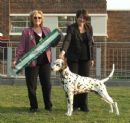 Click to see more details for this dog