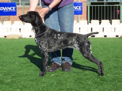 Breed Feature Photo - Unauthorised use prohibited!
