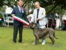 Click to see more details for this dog