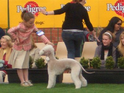 Breed Feature Photo - Unauthorised use prohibited!