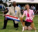 Click to see more details for this dog