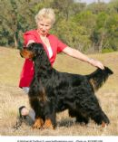 Click to see more details for this dog