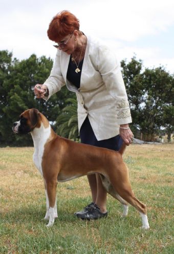 Breed Feature Photo - Unauthorised use prohibited!
