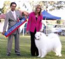 Click to see more details for this dog