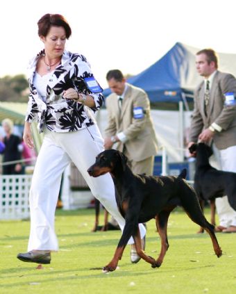 Breed Feature Photo - Unauthorised use prohibited!