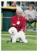 Click to see more details for this dog