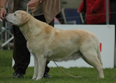 Breed Feature Photo - Unauthorised use prohibited!