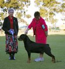 Click for more details of this dog