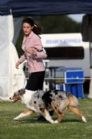 Click to see more details for this dog