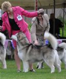 Click to enlarge