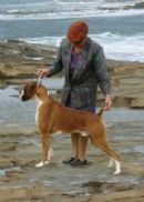 Click to see more details for this dog