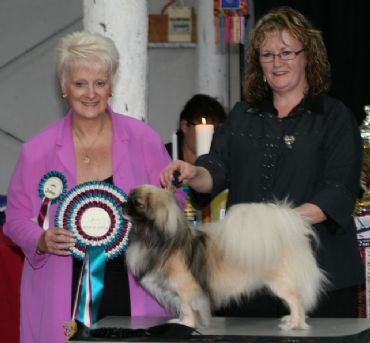 Breed Feature Photo - Unauthorised use prohibited!
