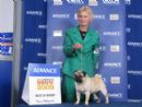 Click to see more details for this dog
