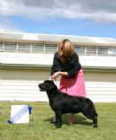 Click to see more details for this dog