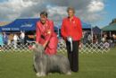Click to see more details for this dog