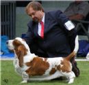 Click to see more details for this dog