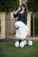 Click to see more details for this dog