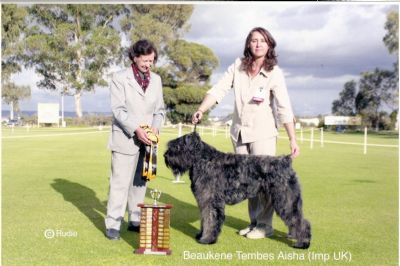 Breed Feature Photo - Unauthorised use prohibited!