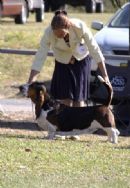 Click to see more details for this dog