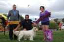 Click to see more details for this dog