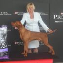 Click to see more details for this dog