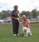 Click to see more details for this dog