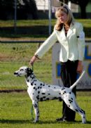 Click to see more details for this dog