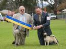 Click to see more details for this dog