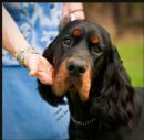 Click to see more details for this dog