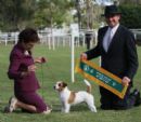 Click to see more details for this dog