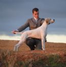 Click to see more details for this dog