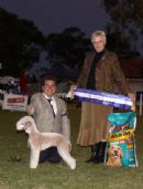 Click to see more details for this dog